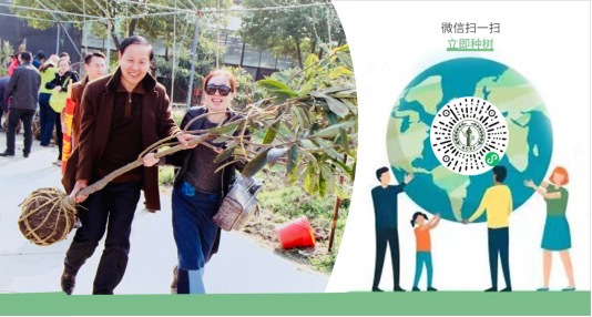 公益植树小程序上线 动动手指可“植树” | 18luck官网app“我为气候种棵树”公益植树活动启动